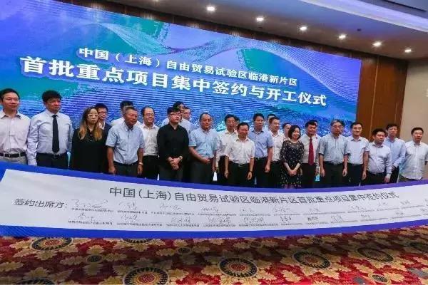 新奥天天免费资料公开|精选准确资料解释落实