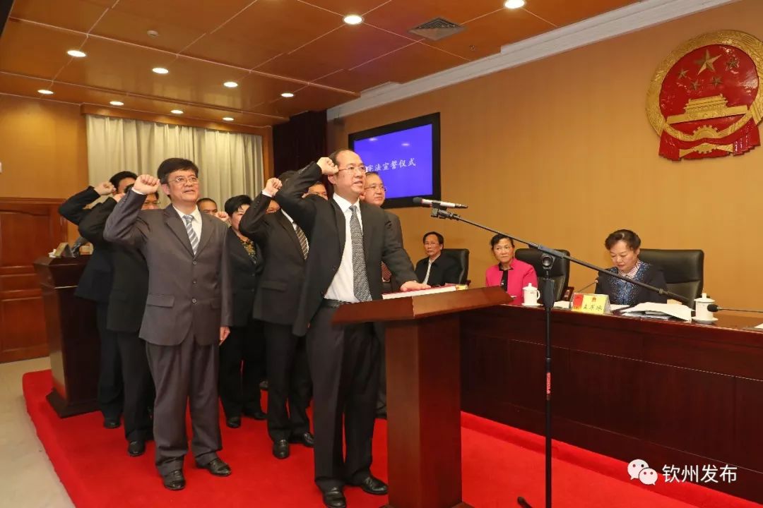 钦州市最新人事任免