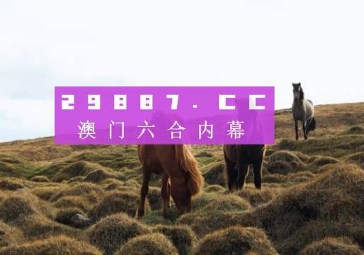 老澳门开奖结果 开奖记录20,老澳门开奖结果及开奖记录探析（2023年版本）