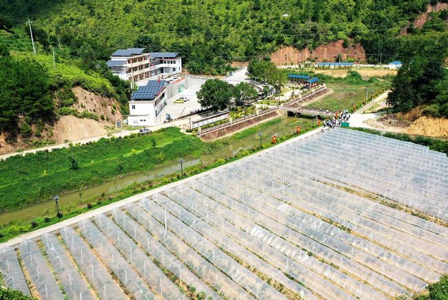 五华县潭下镇最新书记,五华县潭下镇最新书记——引领地方发展的杰出领导者