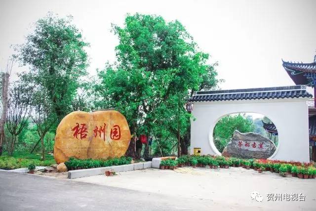 贺州市园博园最新消息,贺州市园博园最新消息深度解析
