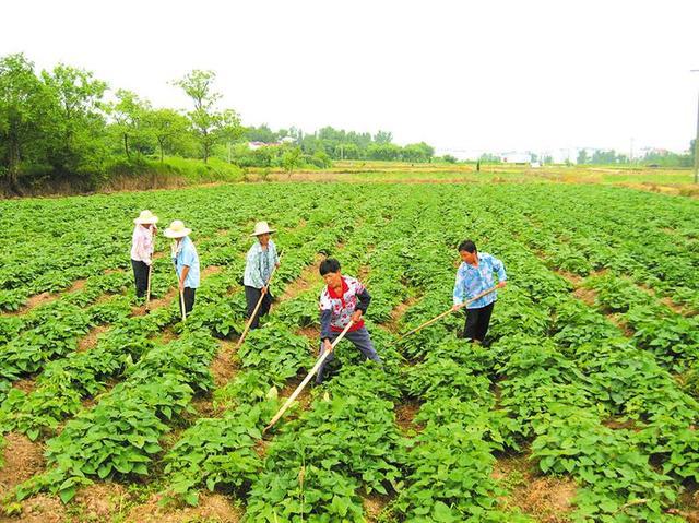 曹县人才网最新招聘信息网,曹县人才网最新招聘信息网——助力人才招聘与求职的新平台