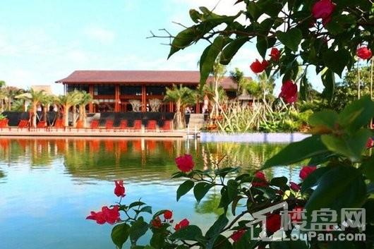 海南木棉湖最新消息,海南木棉湖最新消息，揭开这片自然胜地的神秘面纱